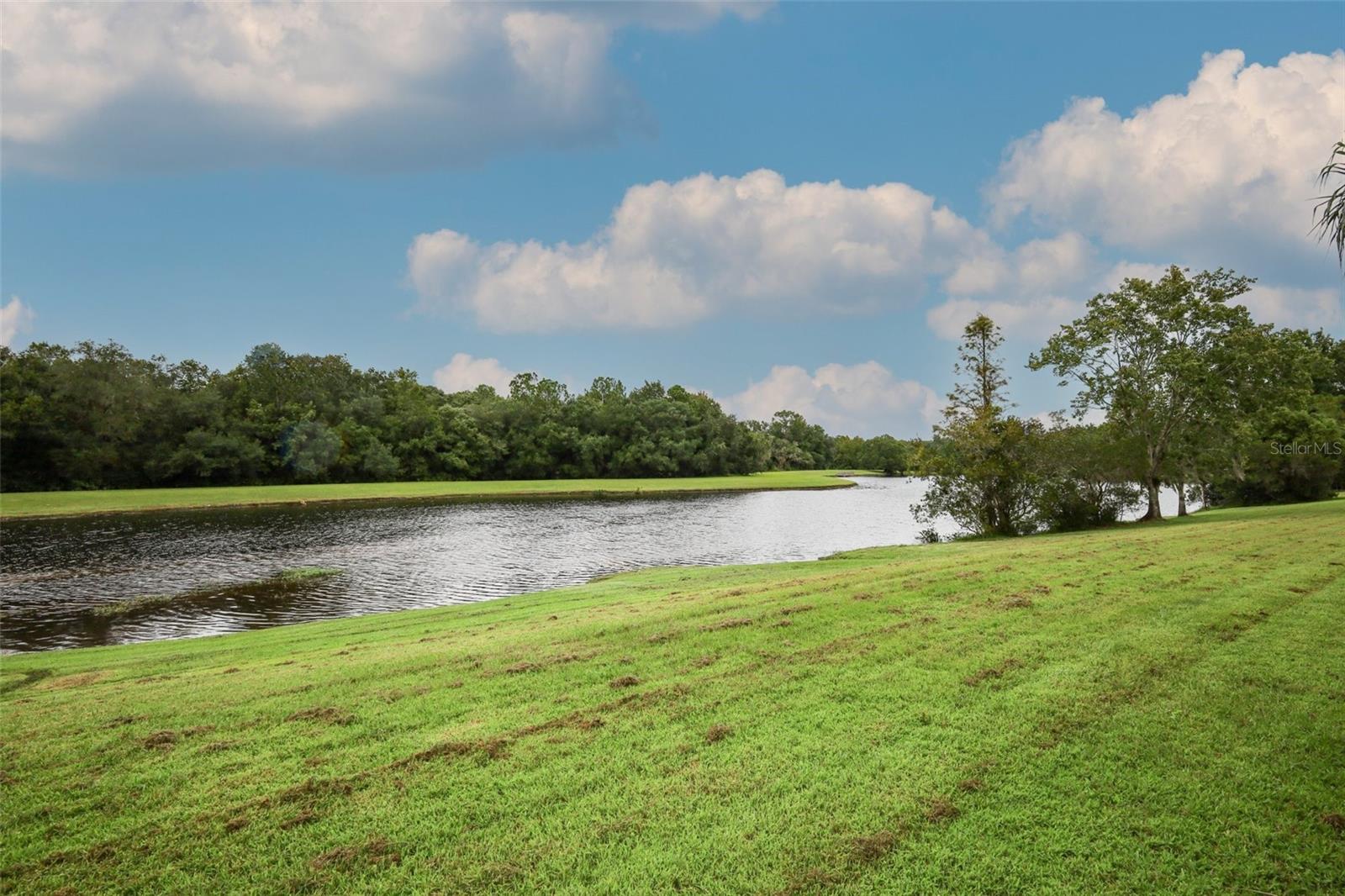 1093 Kelly Creek Cir Property Photo 49