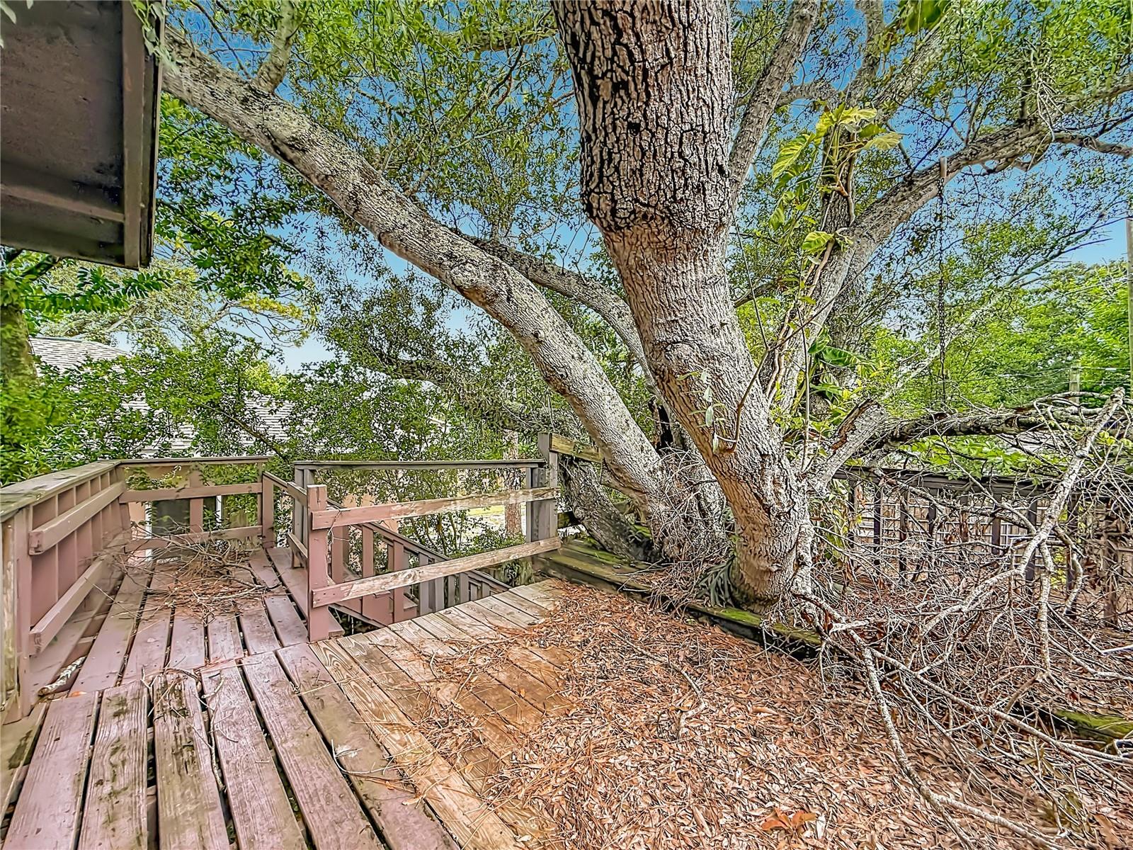4519 Haines Rd N Property Photo 22