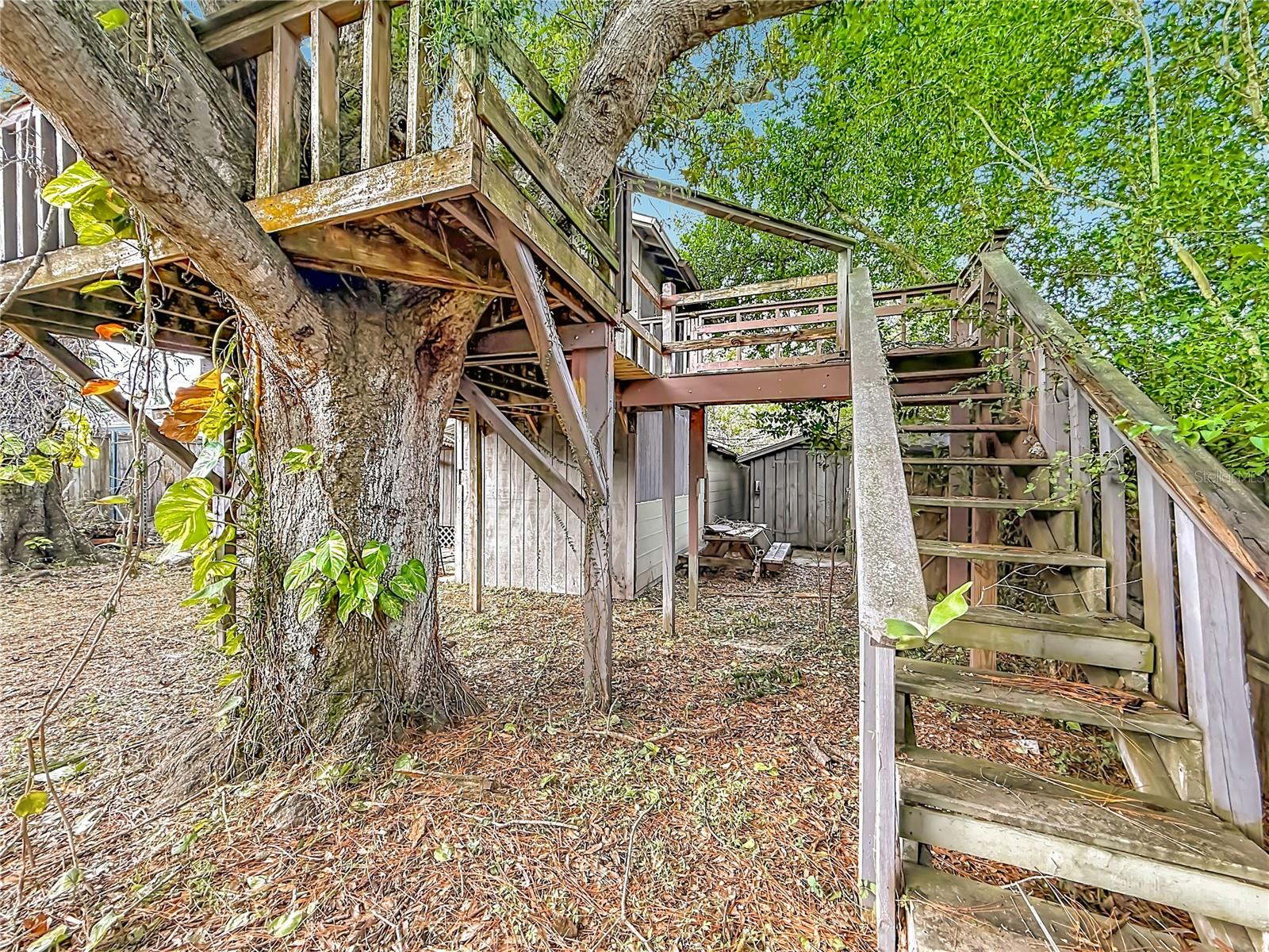 4519 Haines Rd N Property Photo 32