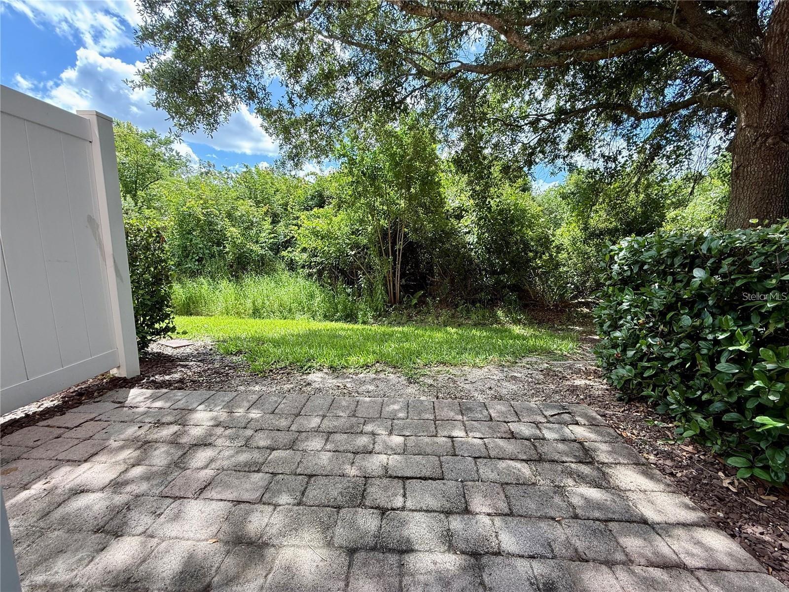 823 Pine Pointe Ln Property Photo 14