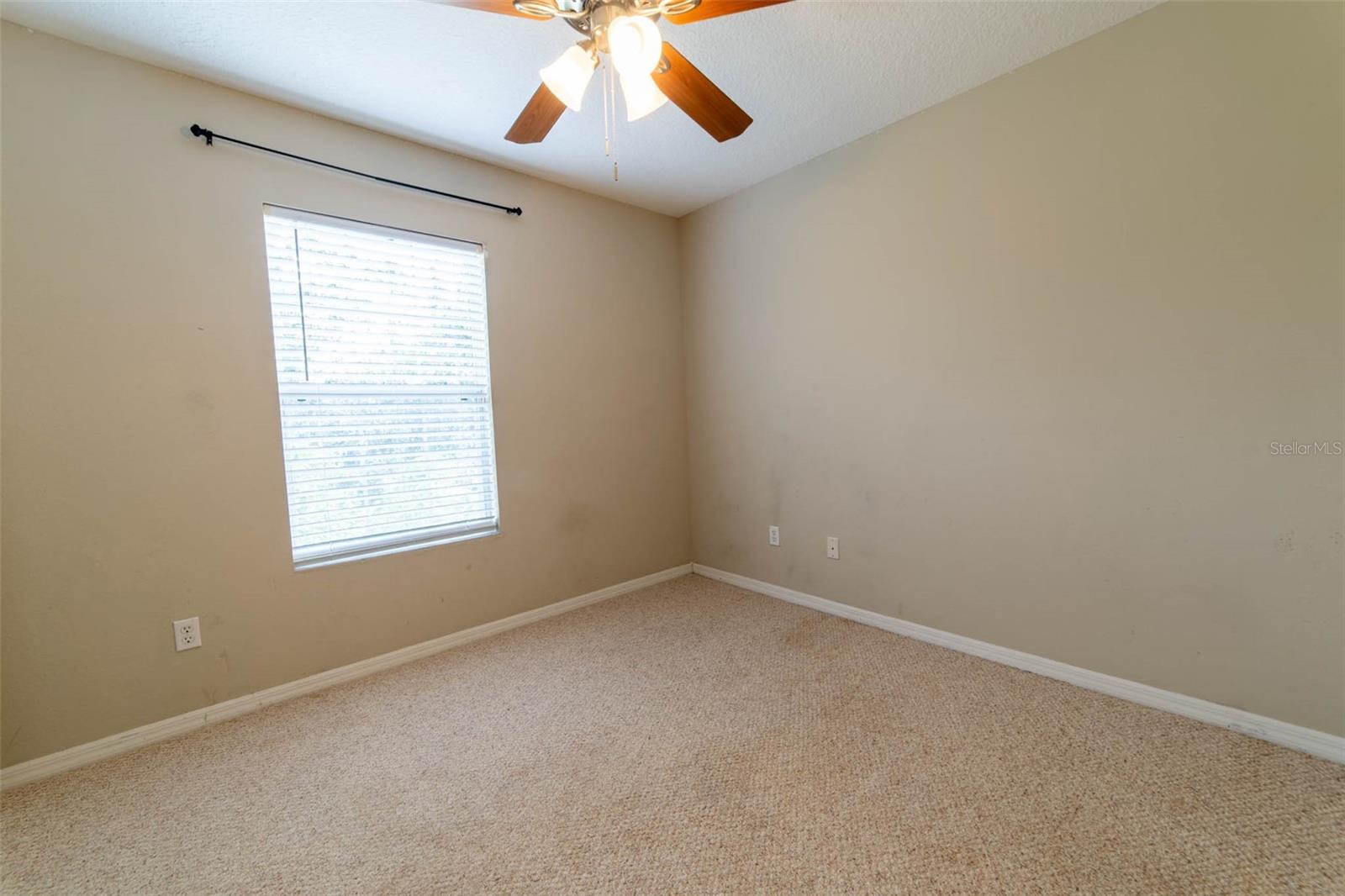 3940 Cleary Way Property Photo 9