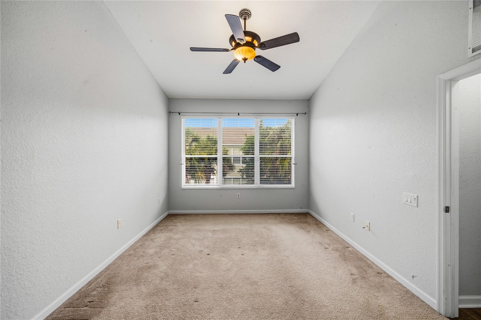 417 Hilgard Cv #. Property Photo 19