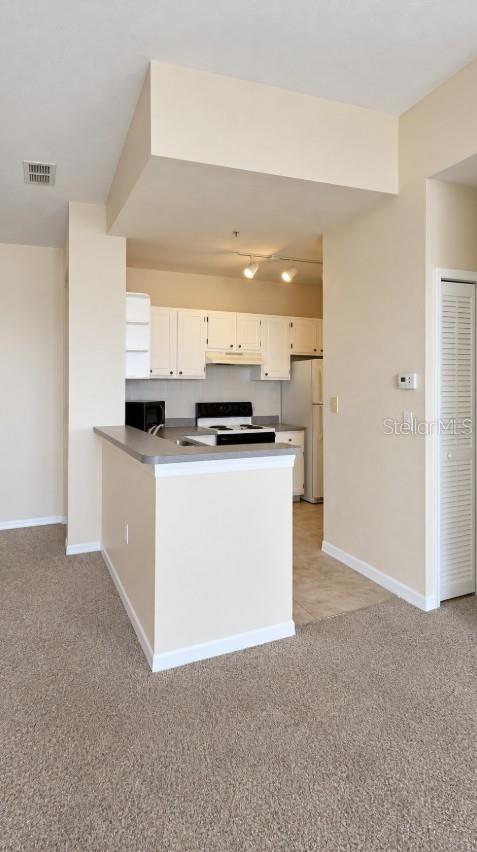 1440 Lake Shadow Cir #8306 Property Photo 10
