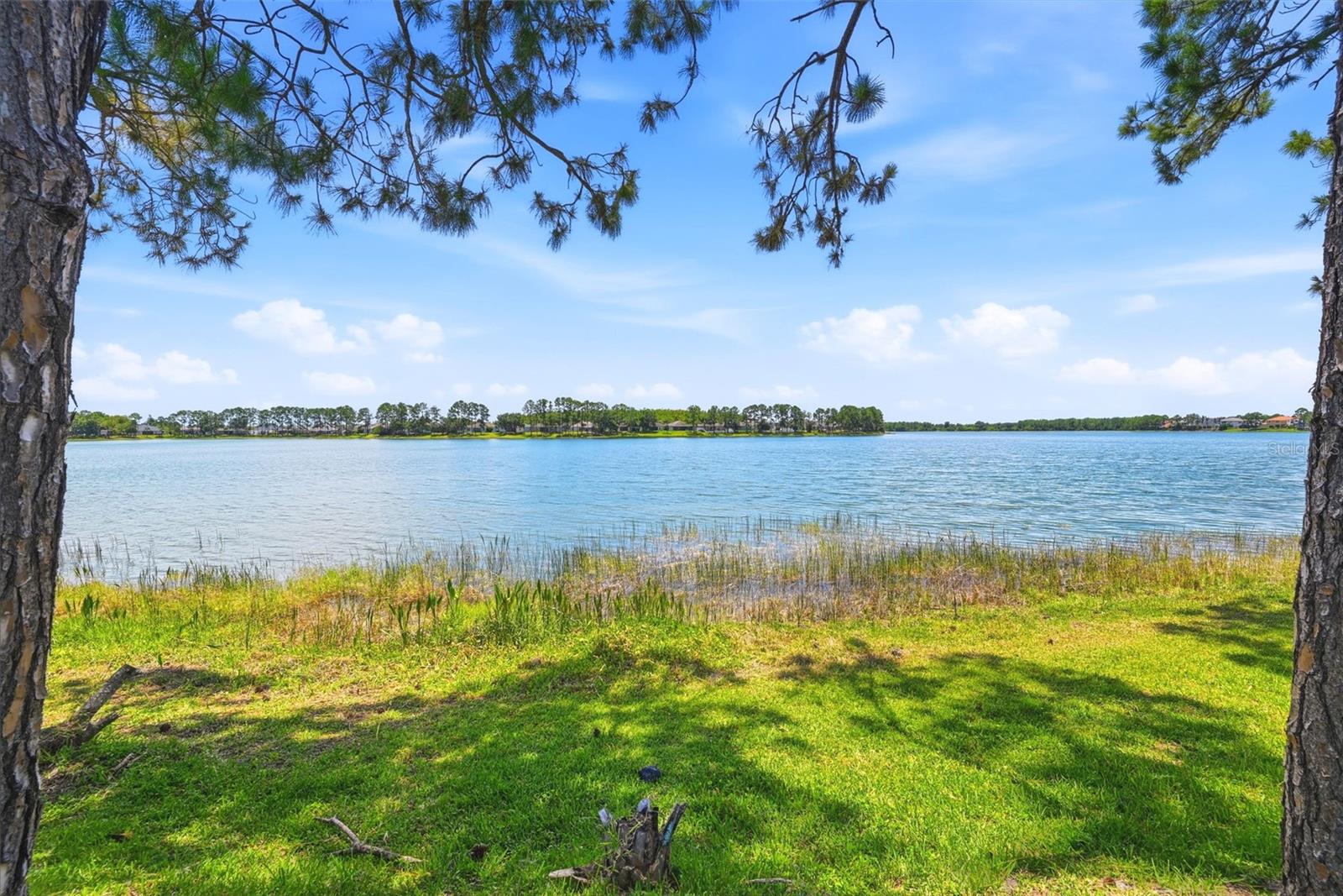 14620 CABLESHIRE WAY Property Photo 1