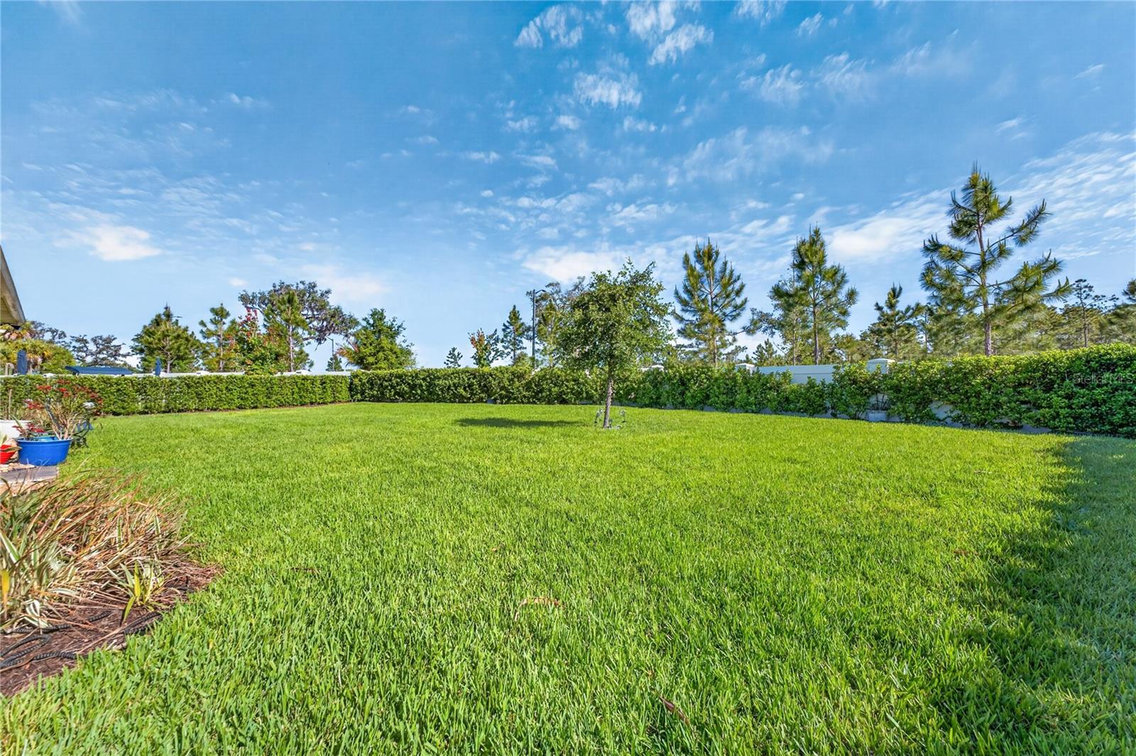 2873 Cherry Blossom Loop Property Photo 66