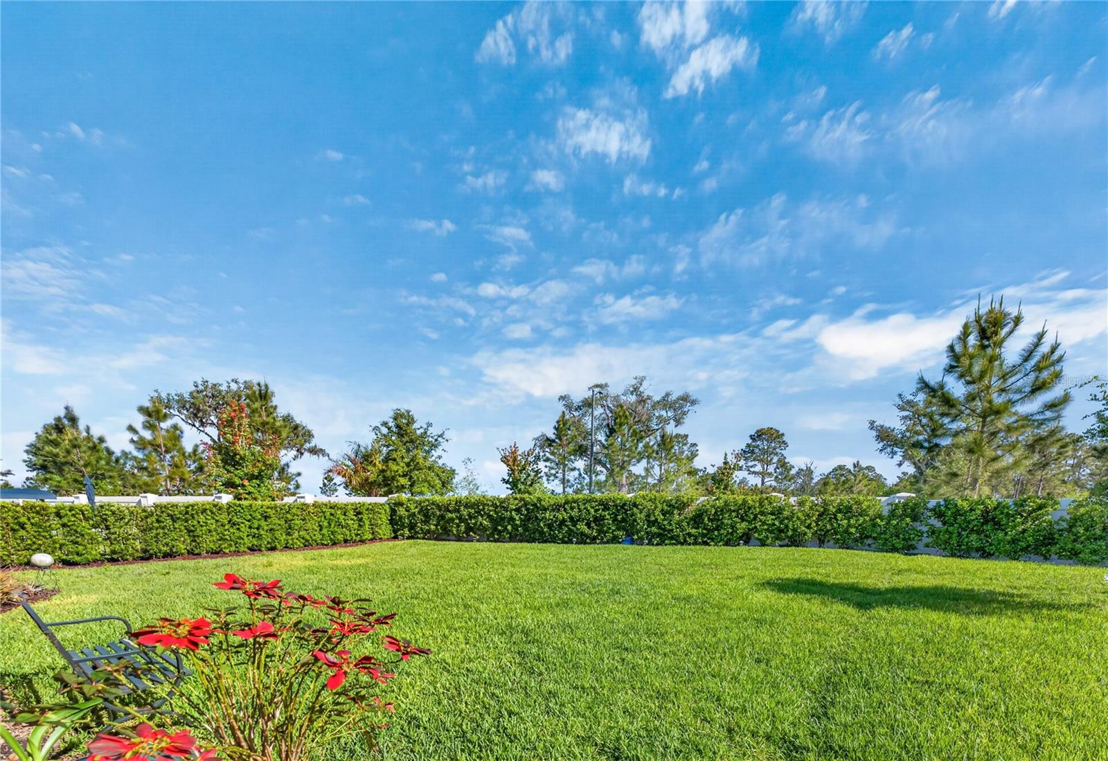 2873 Cherry Blossom Loop Property Photo 67