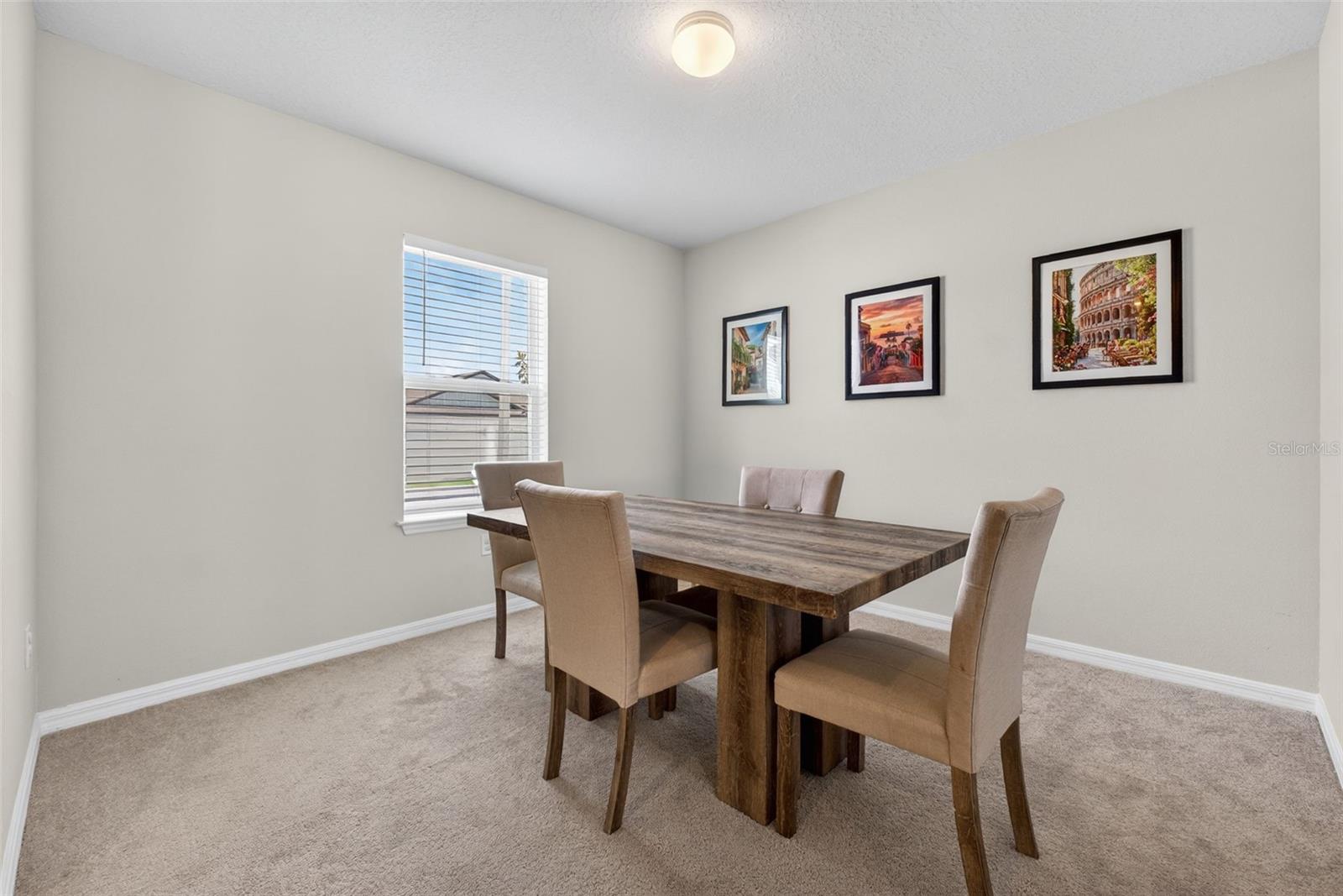 1117 Michelangelo Ln Property Photo 5