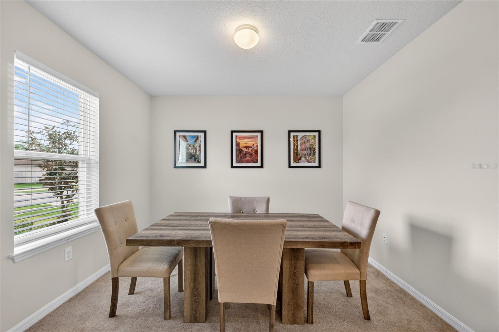 1117 Michelangelo Ln Property Photo 6