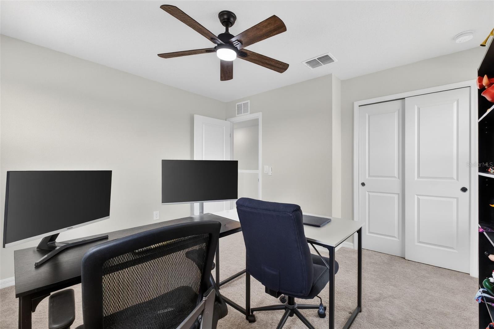 1117 Michelangelo Ln Property Photo 39