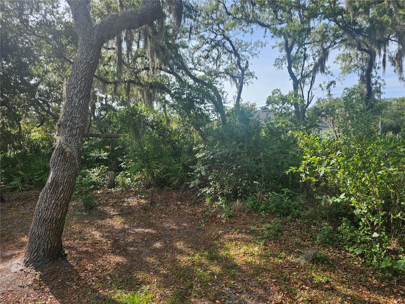 259 Toms Rd Property Photo 29
