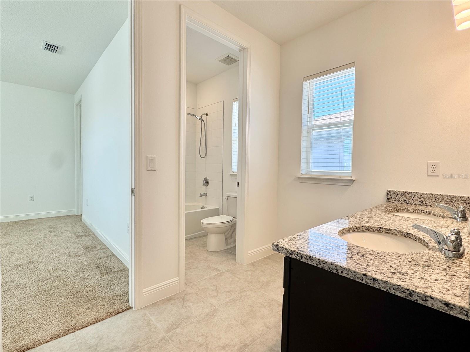 9725 Neruda St Property Photo 35