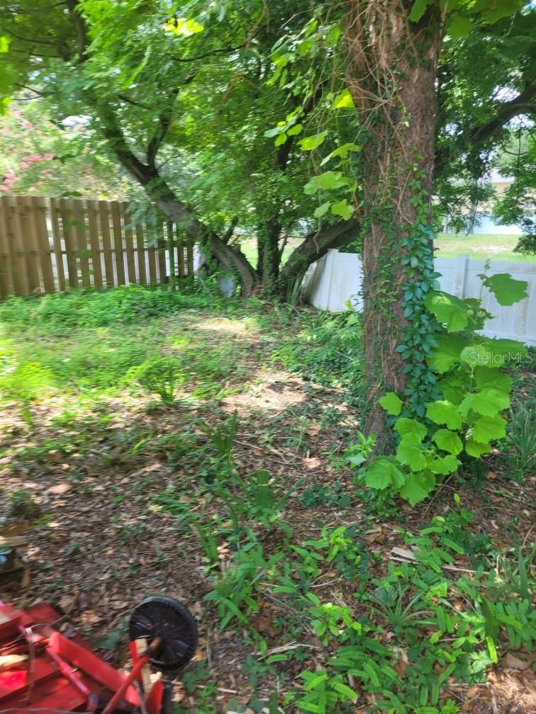 2220 Faxton Ct Property Photo 4