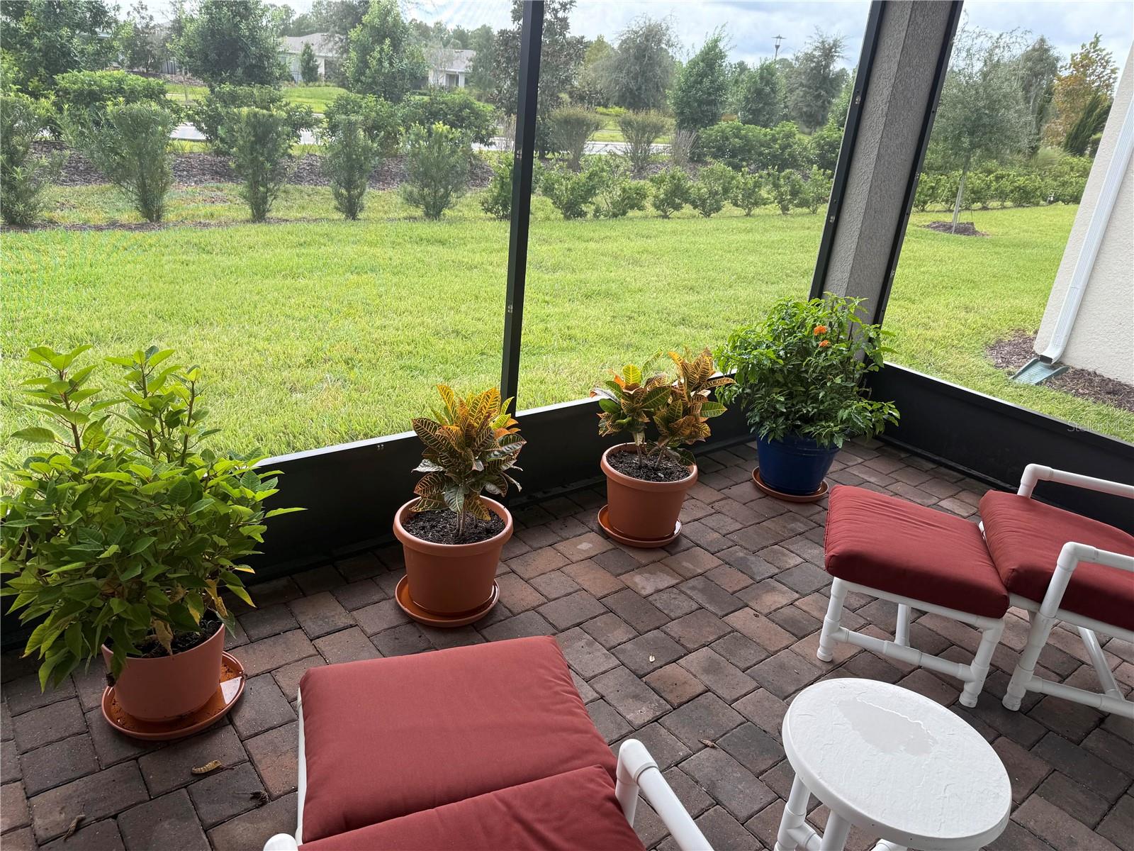 2361 Daisy Tree Rd Property Photo 28