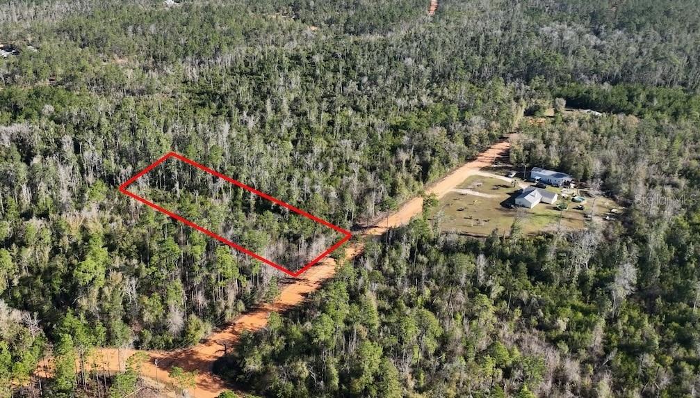 Bienville Ct Property Photo 1
