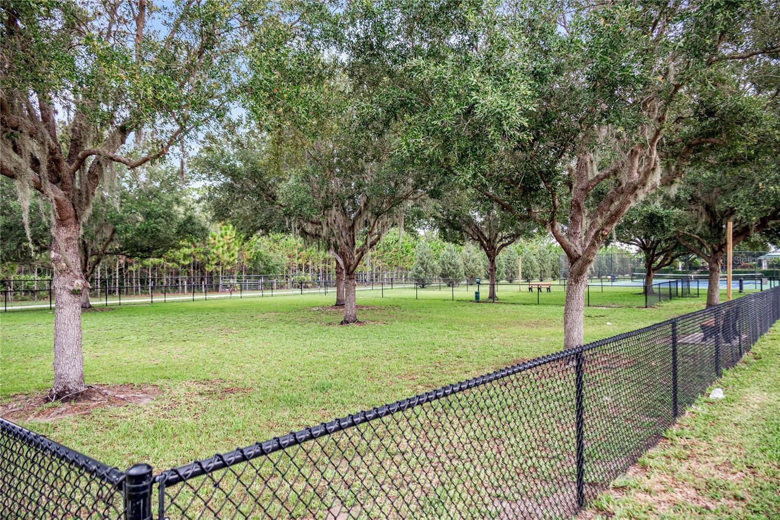 8840 Abbey Leaf Ln Property Photo 54