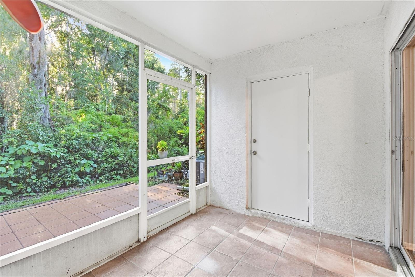 5512 Carrollwood Key Dr Property Photo 43