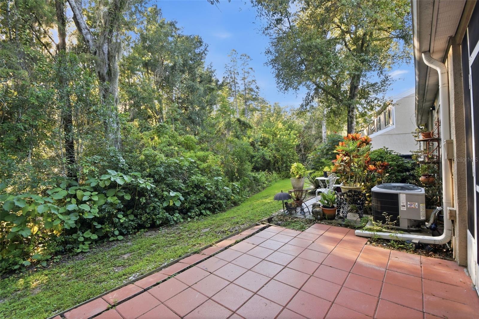 5512 Carrollwood Key Dr Property Photo 45