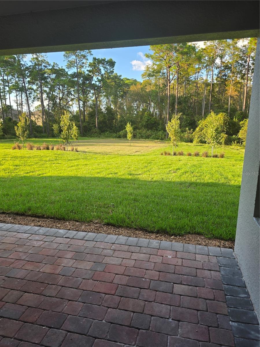 11851 Shine View Ln Property Photo 10