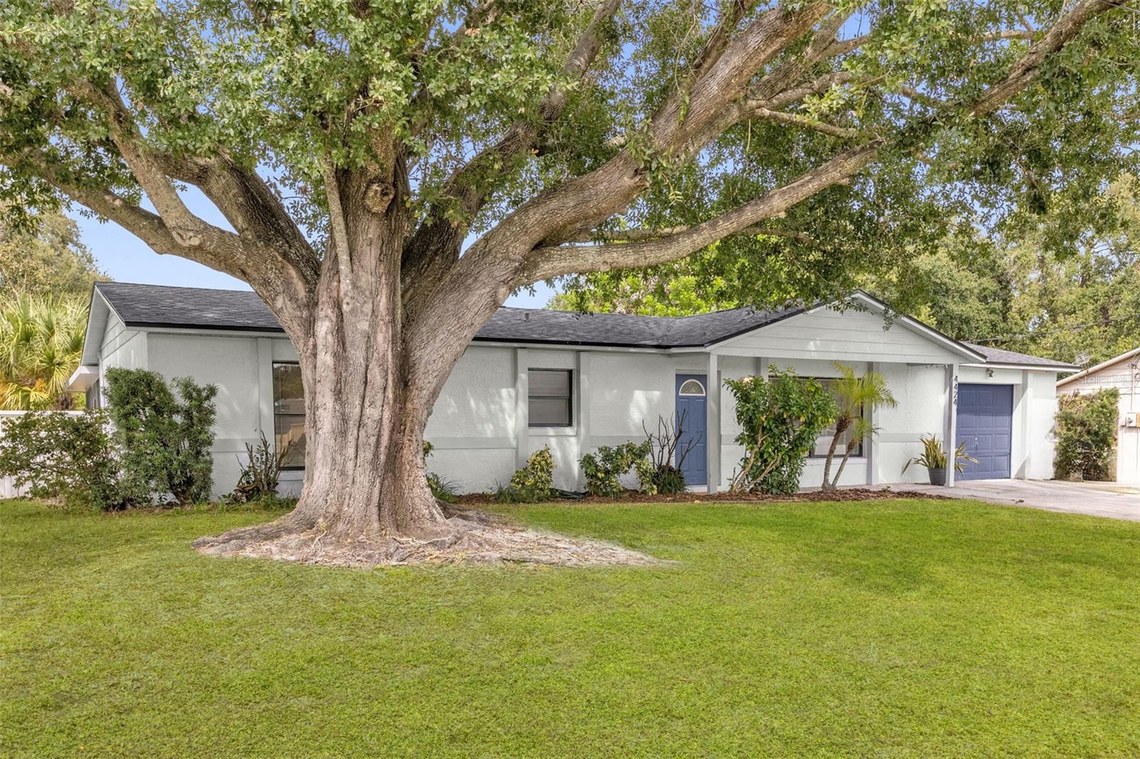 4424 Alfred St Property Photo 2