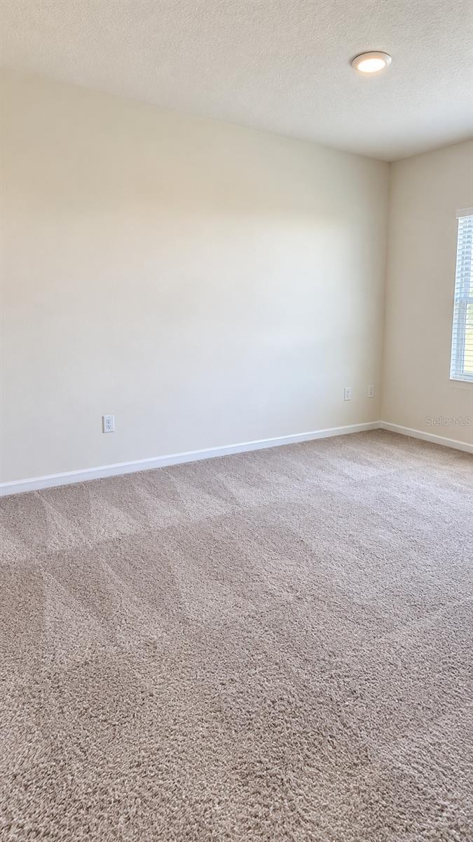 1883 Cassidy Knoll Dr Property Photo 11