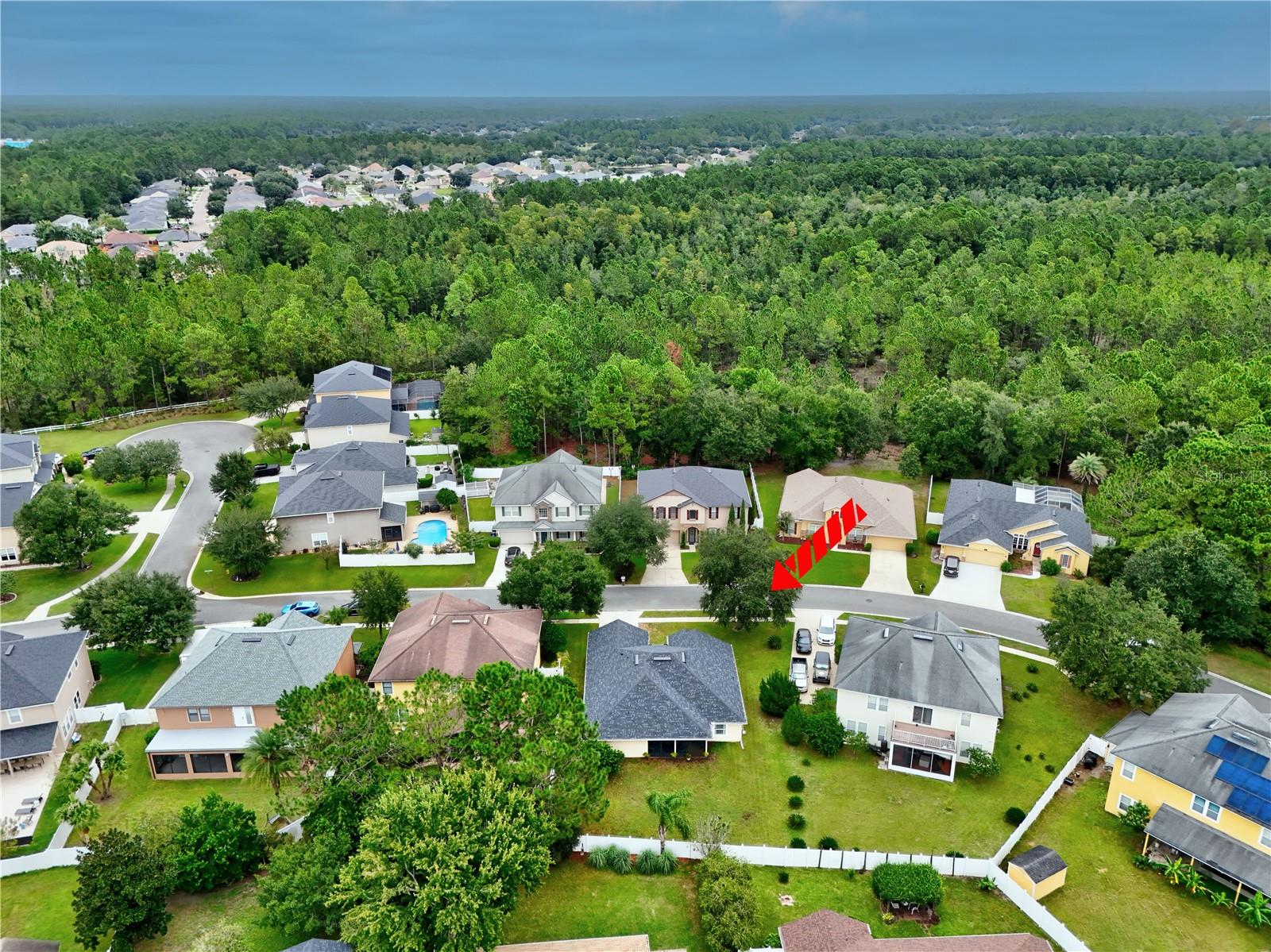 O6445456 Property Photo 63