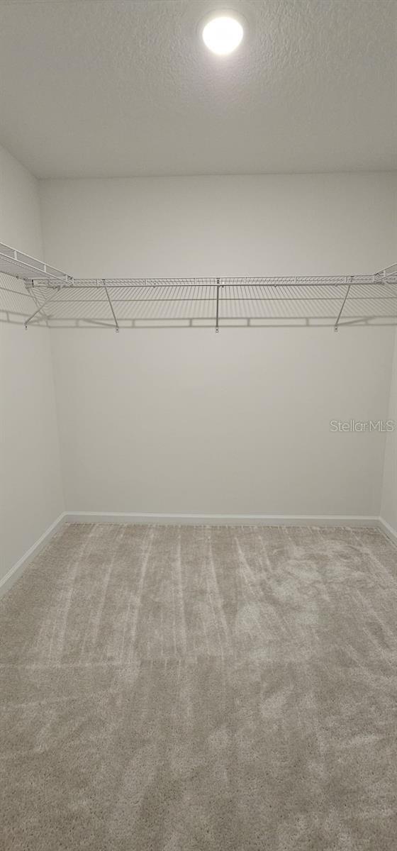 14031 Lochend Way Property Photo 22