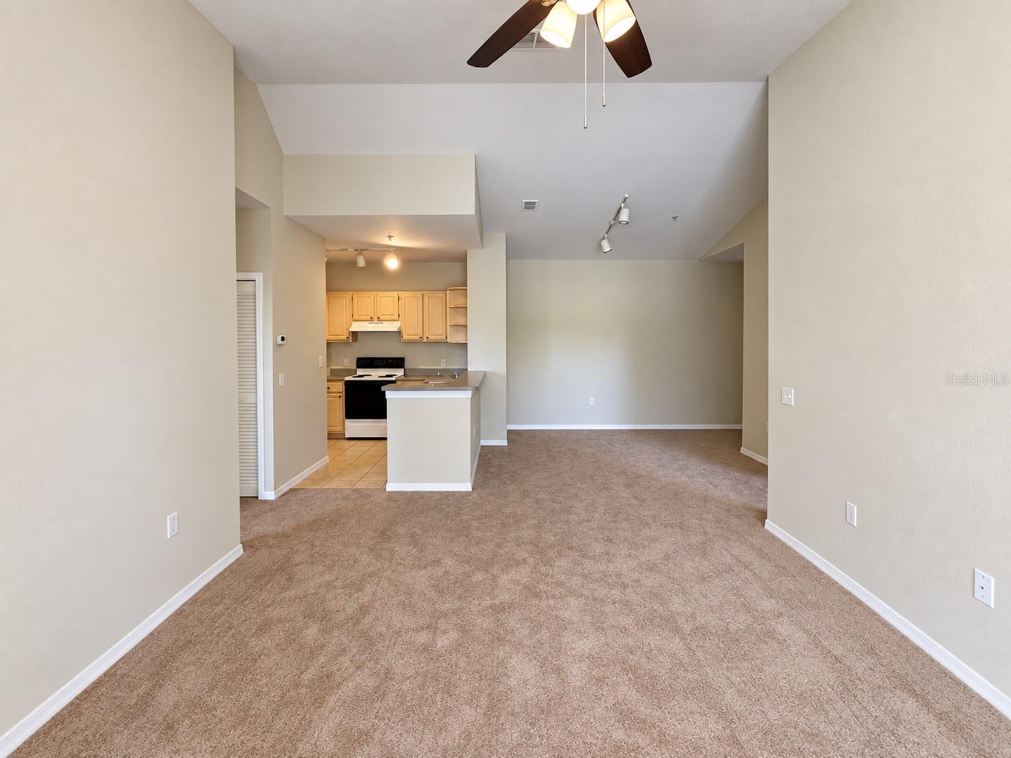 1440 Lake Shadow Cir #8305 Property Photo 5
