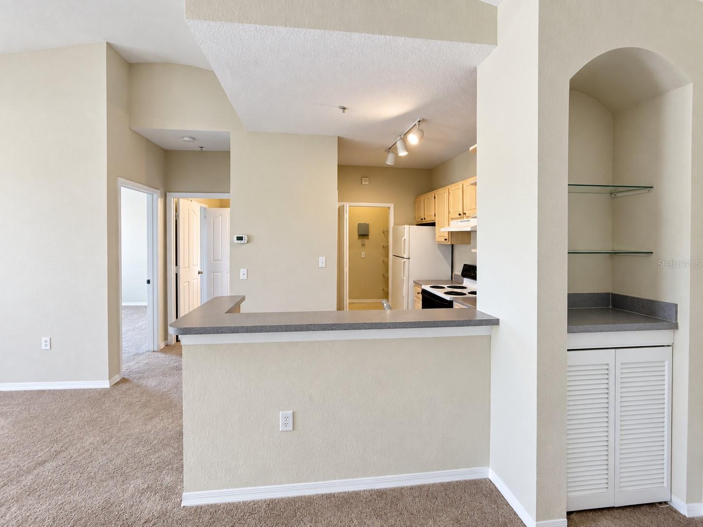 1440 Lake Shadow Cir #8305 Property Photo 11