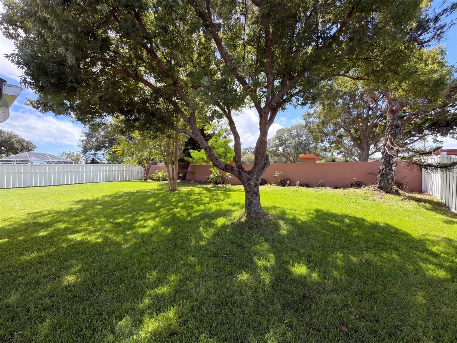 771 Sandhill Crane Ct Property Photo 35