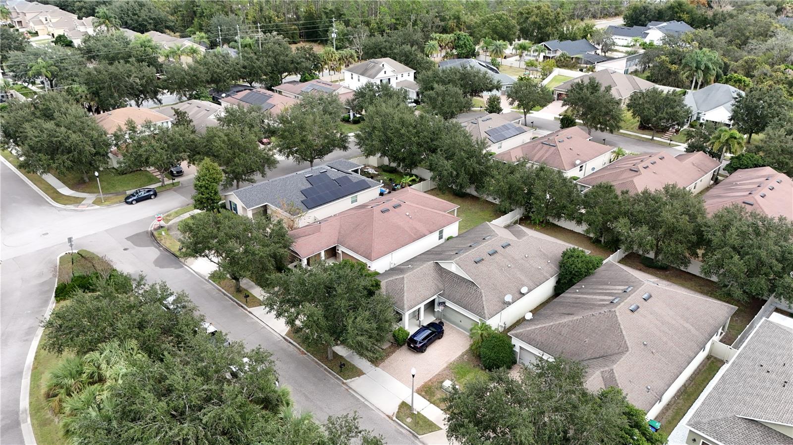 8809 Arrabida Ln Property Photo 37