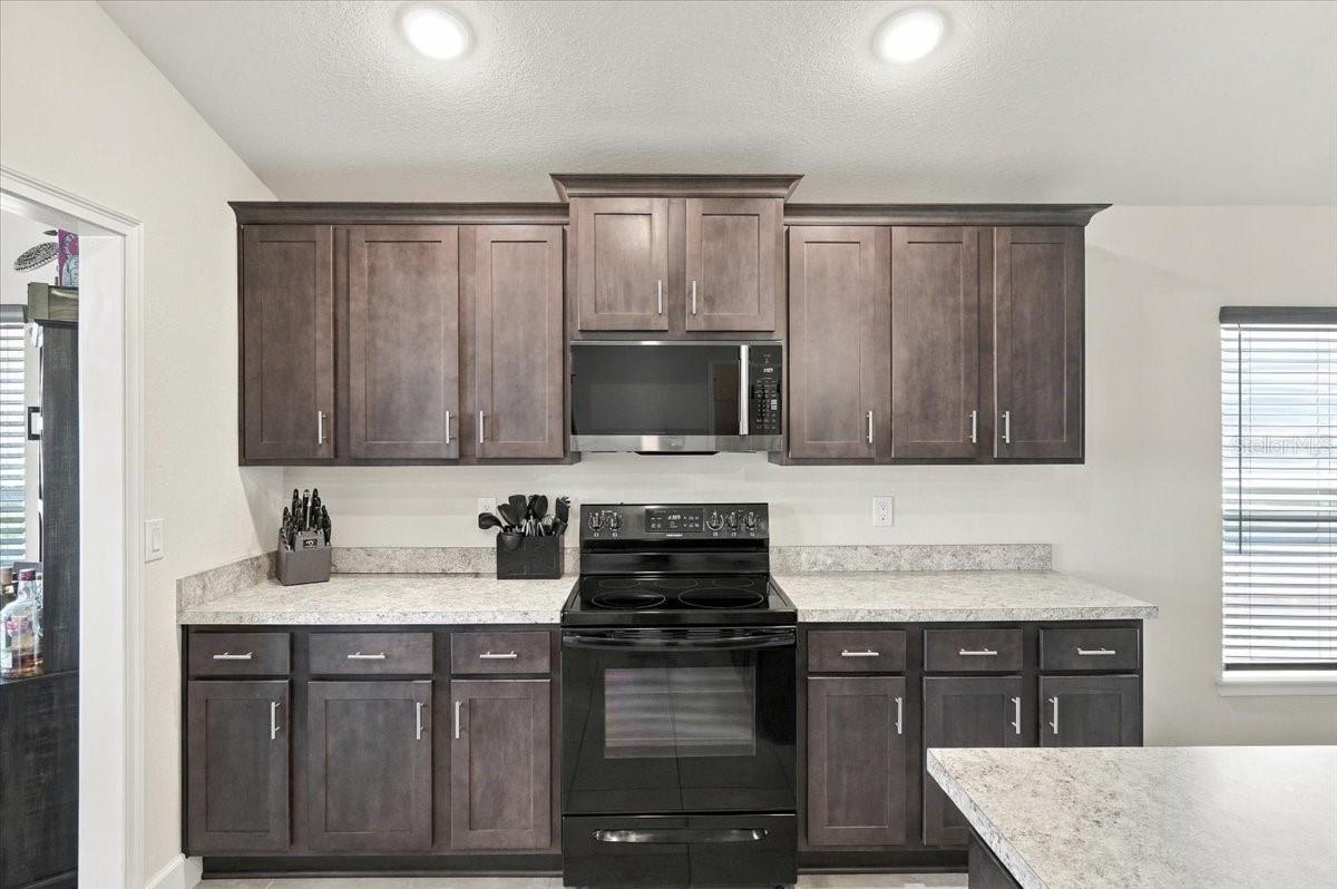 486 Panaro Ln Property Photo 14