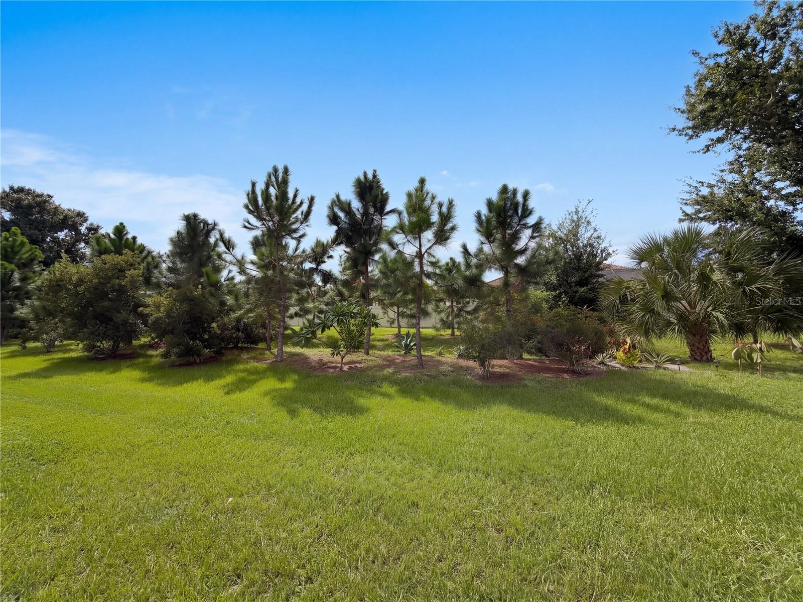 5319 Stoic Vale Dr Property Photo 18