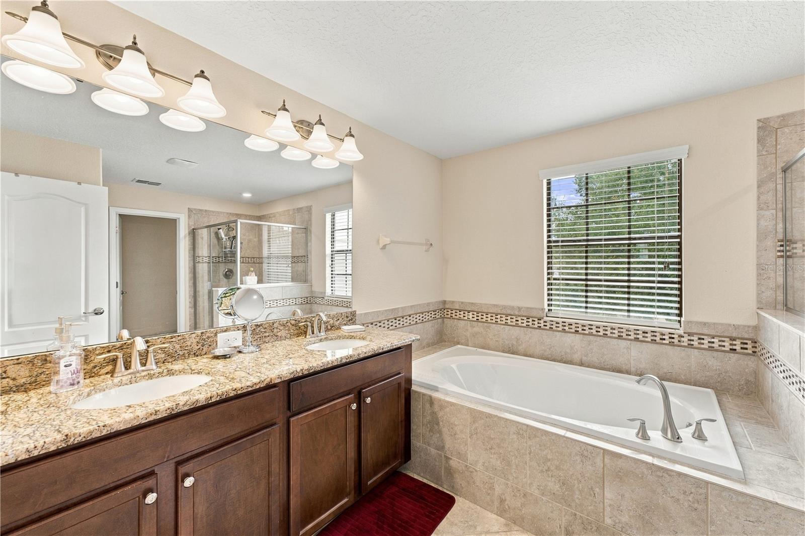 9037 Shadow Mountain St Property Photo 22