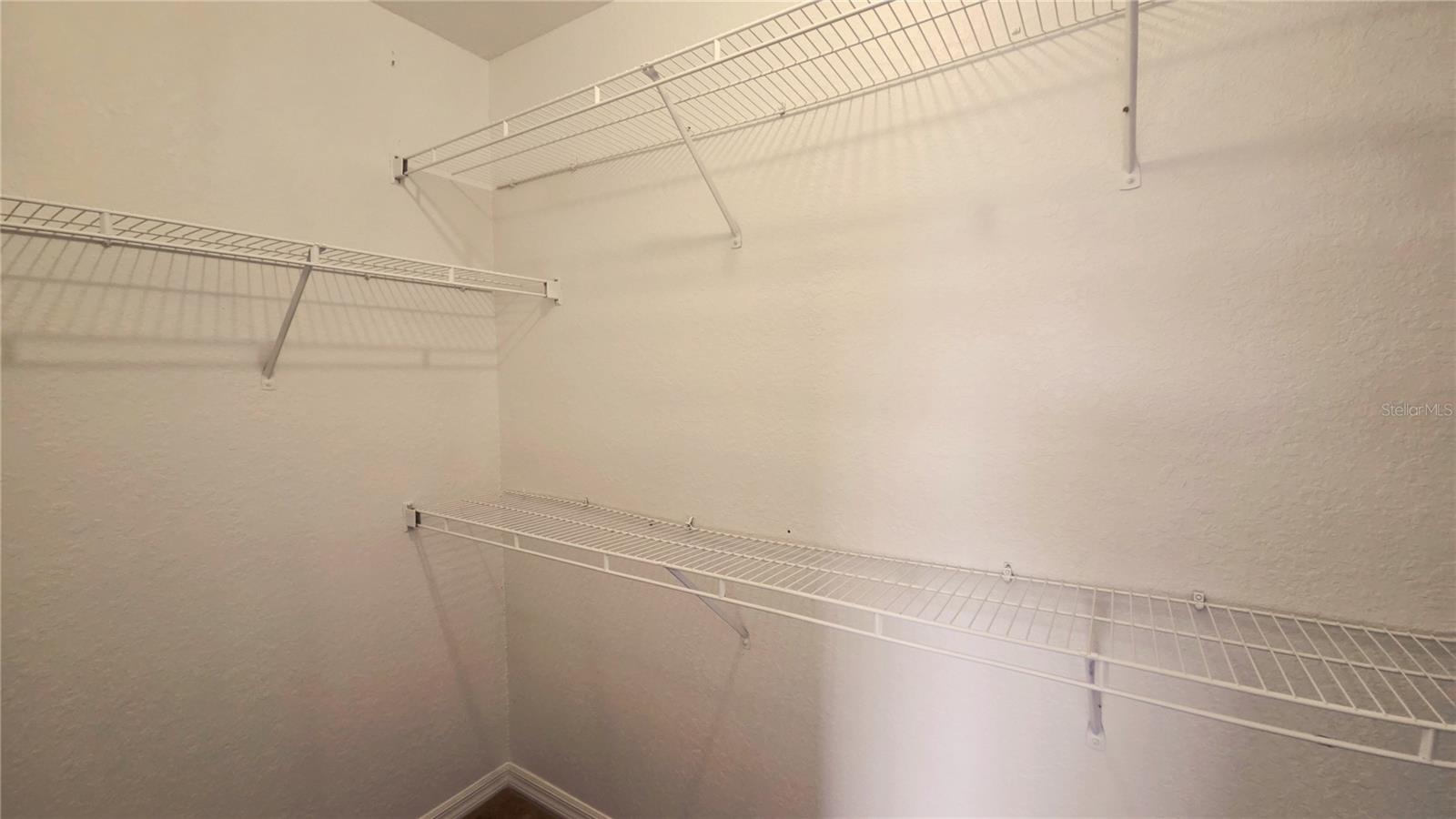 3701 Castle Pines Ln #3931 Property Photo 5