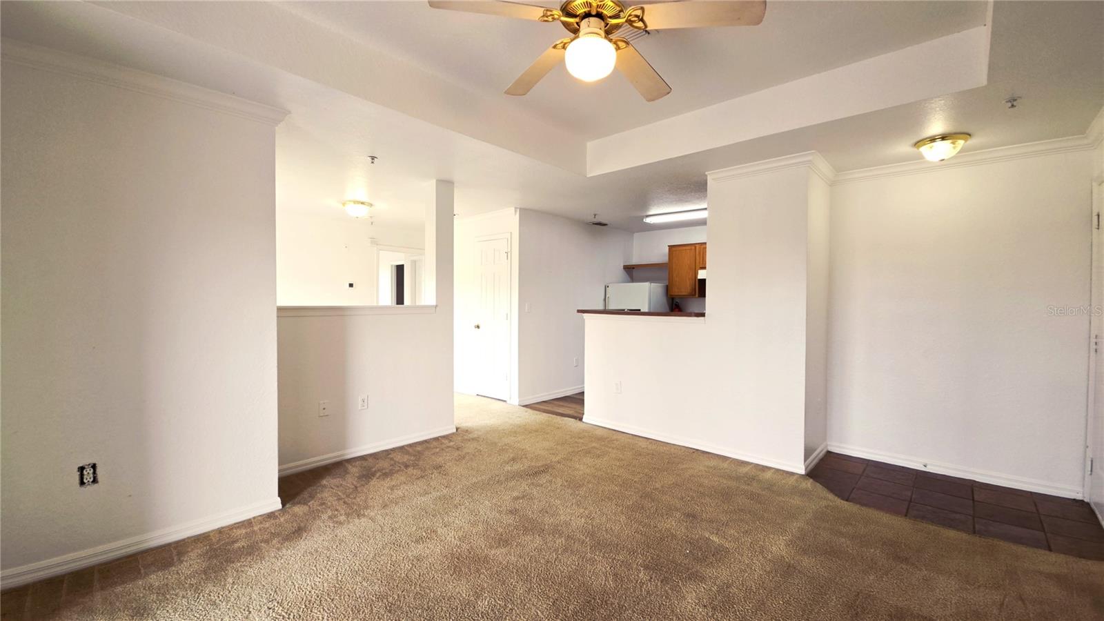 3701 Castle Pines Ln #3931 Property Photo 7
