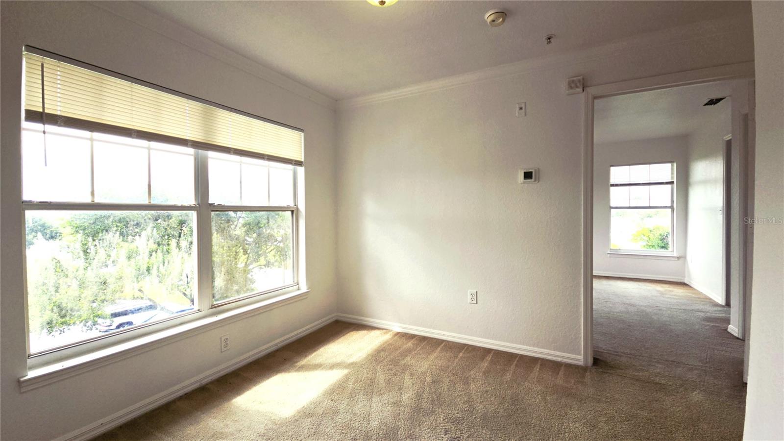 3701 Castle Pines Ln #3931 Property Photo 11