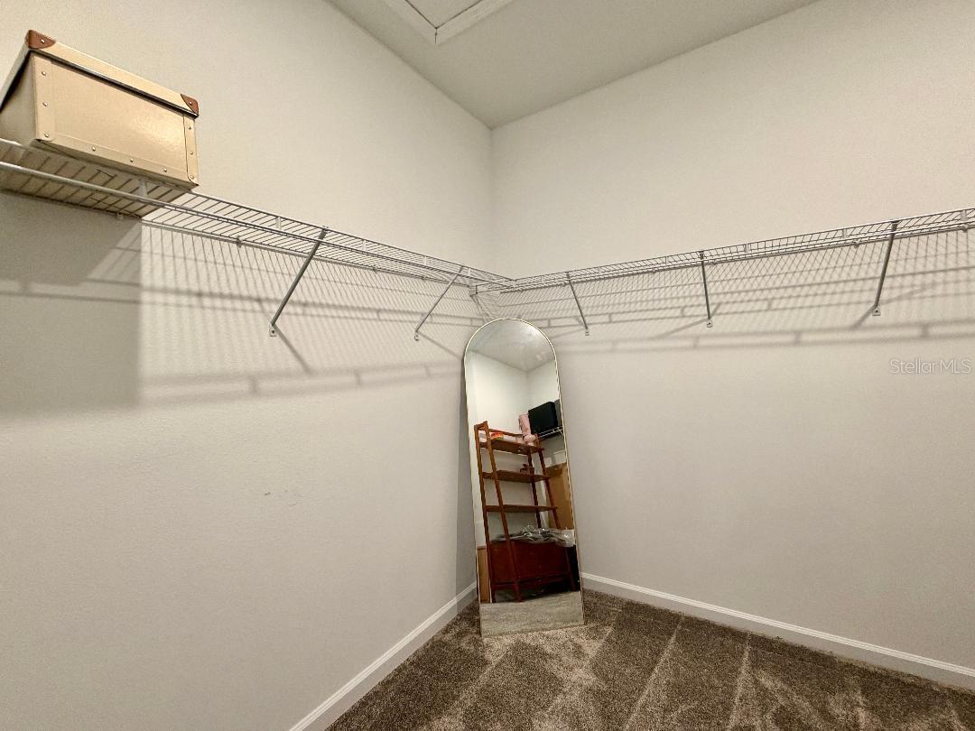 693 Peroni Ave Property Photo 13