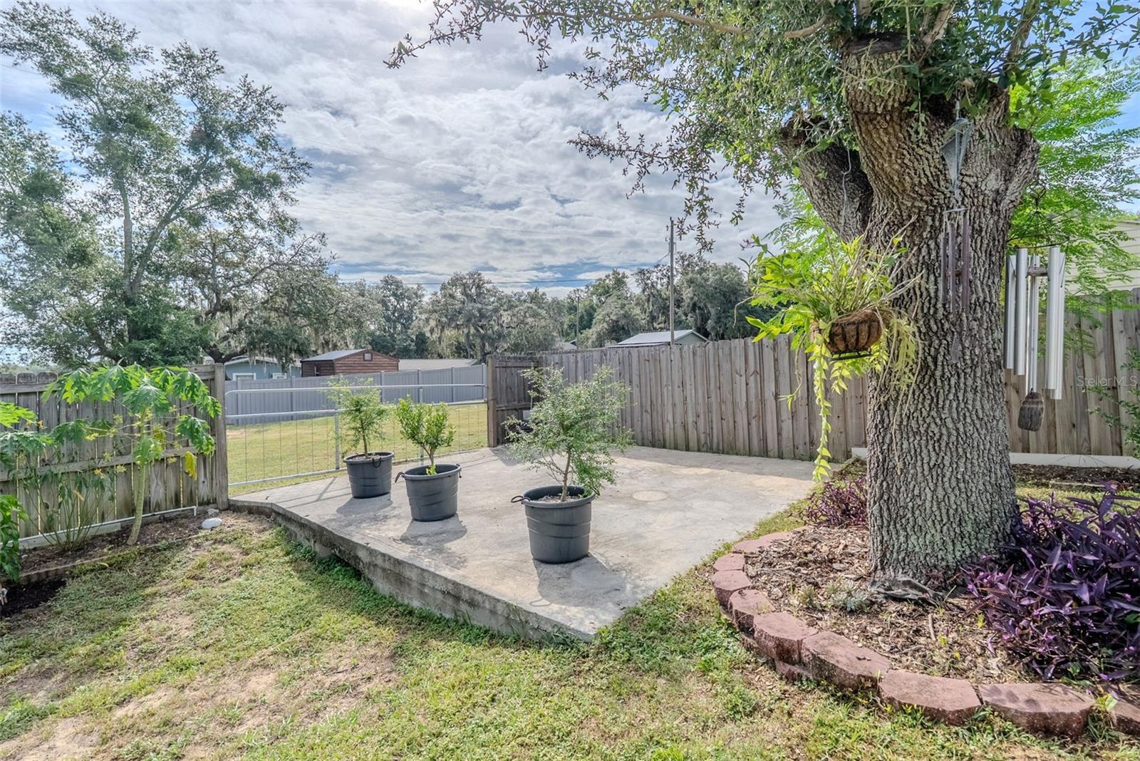 10828 Crescent Ridge Loop Property Photo 26
