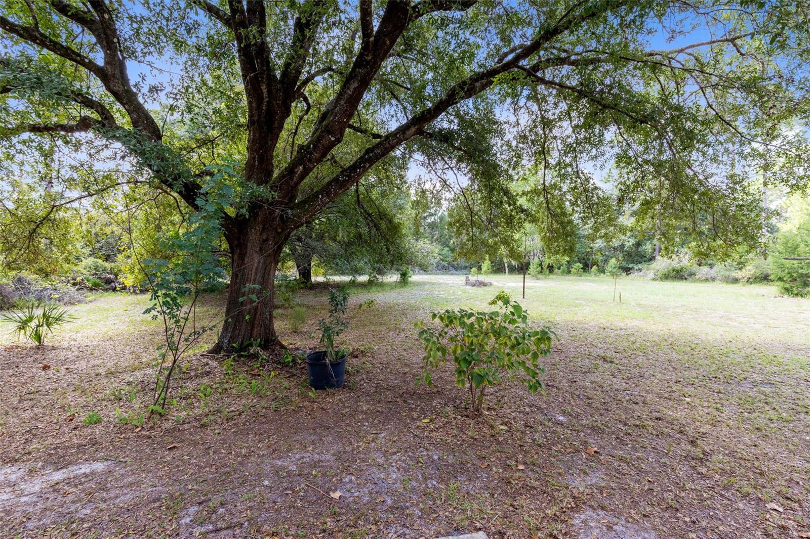 377 Riverwoods Trl Property Photo 25