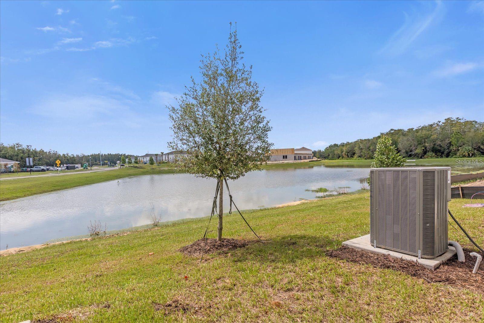 3221 Skyline Loop Loop Property Photo 20