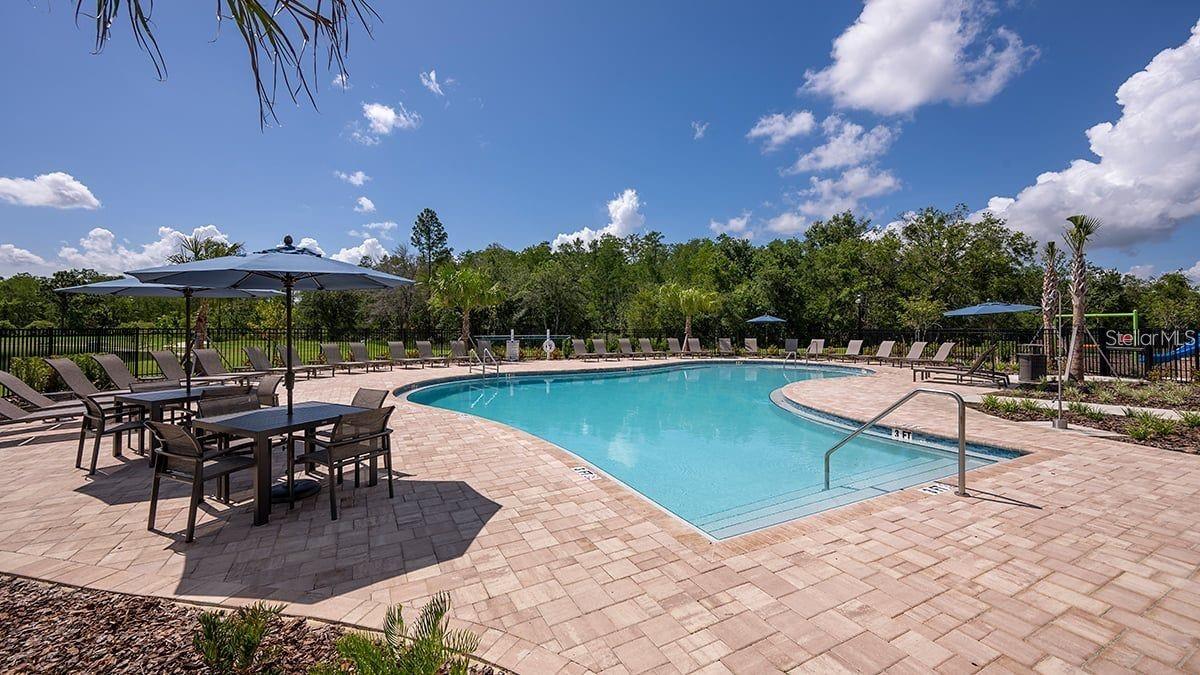 3221 Skyline Loop Loop Property Photo 21