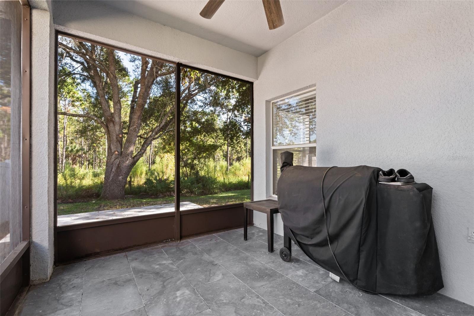 14819 Affirmed Ct Property Photo 29