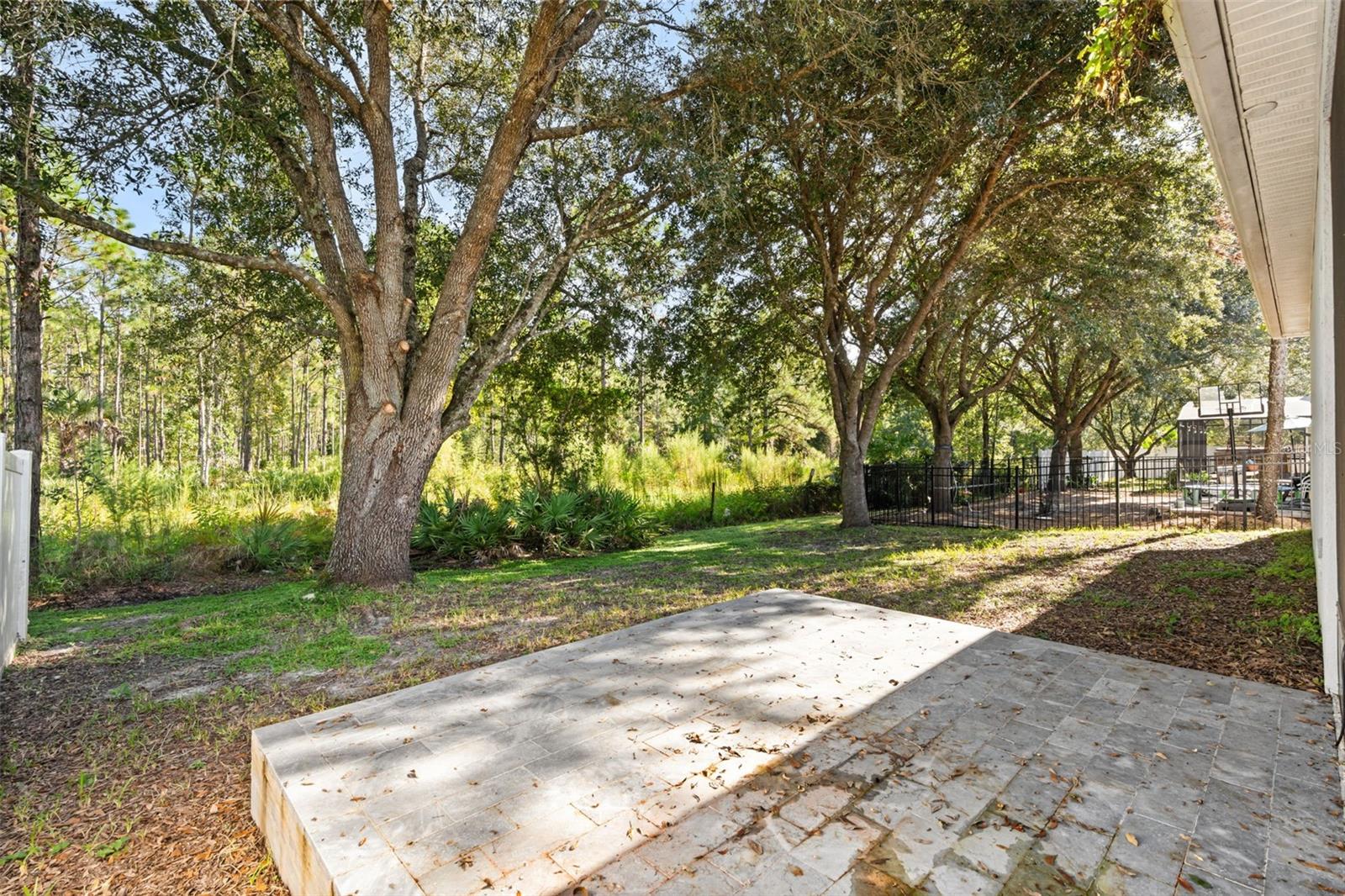 14819 Affirmed Ct Property Photo 31