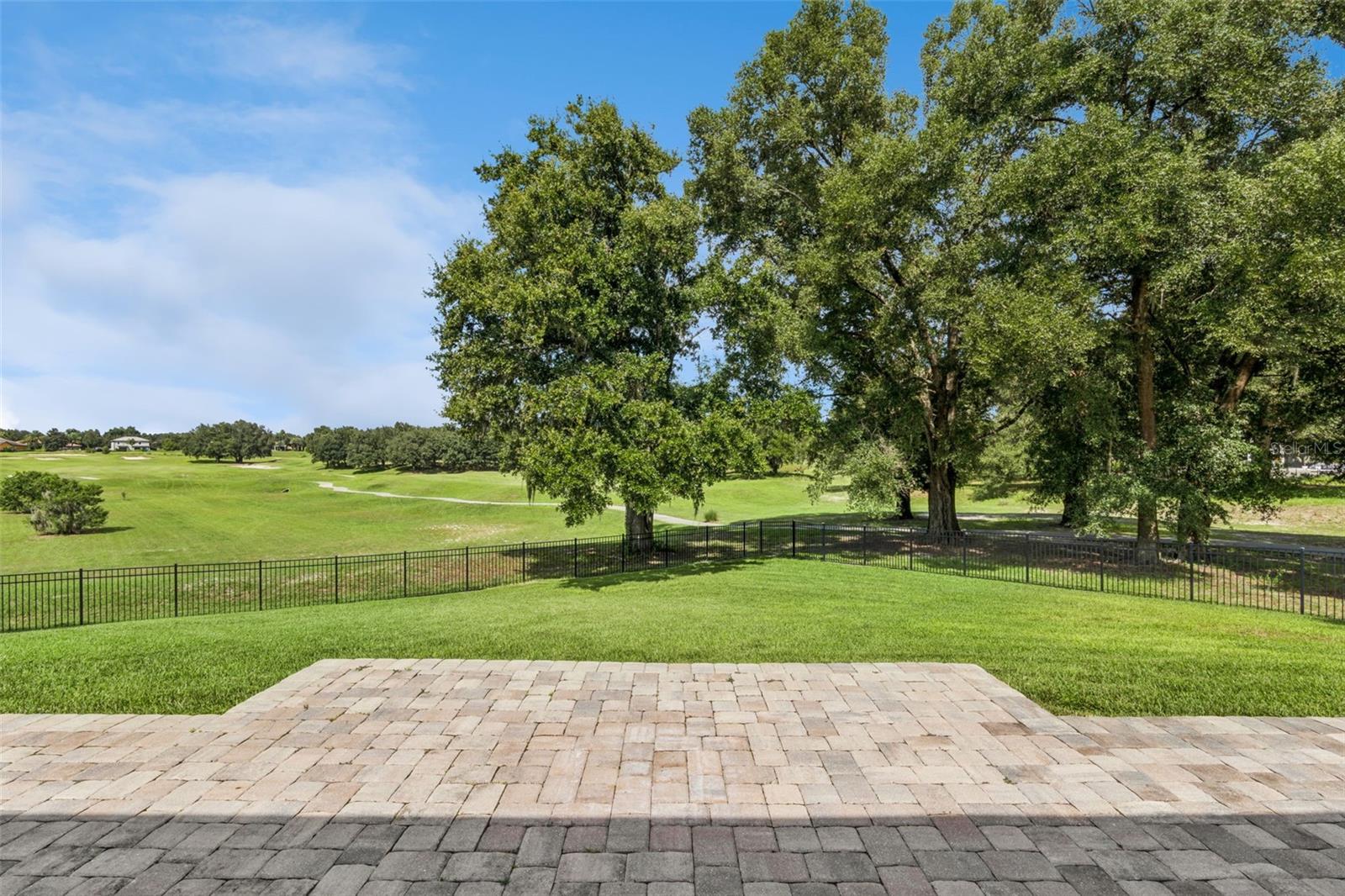 25444 Hawks Run Ln Property Photo 48