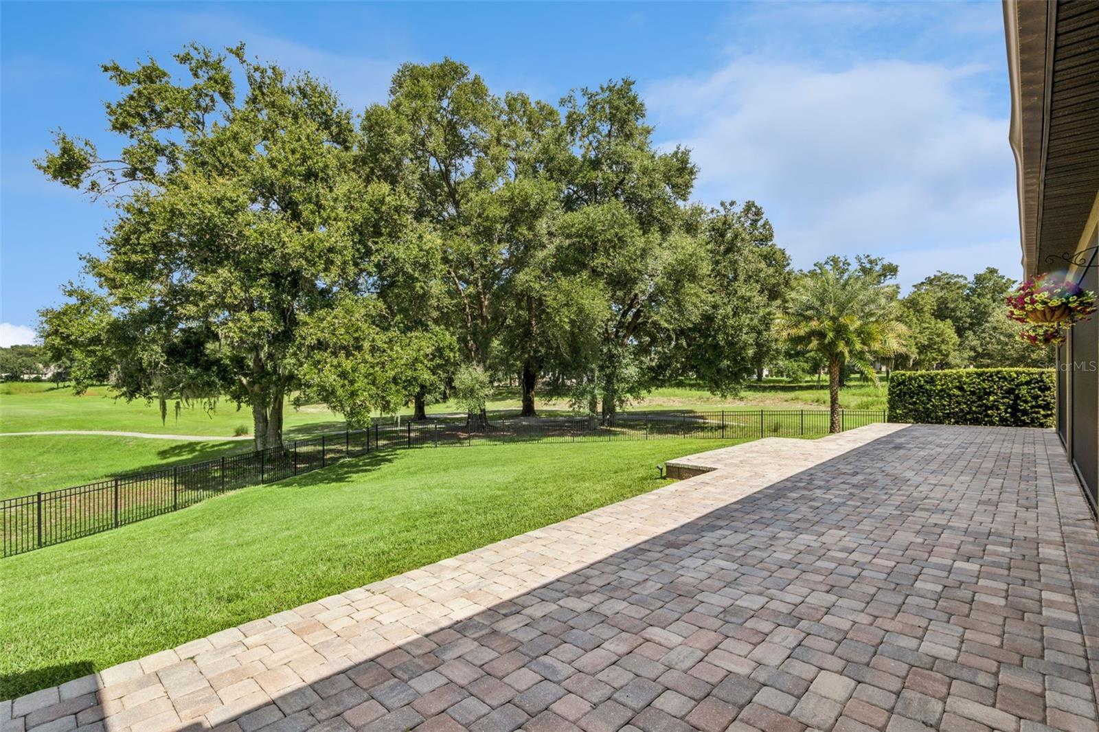 25444 Hawks Run Ln Property Photo 49