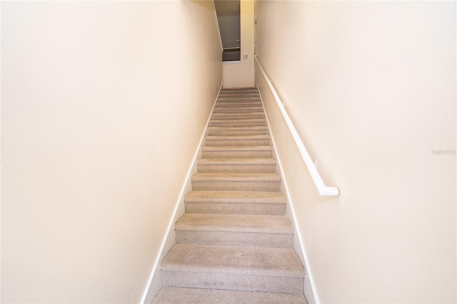 6593 Queens Borough Ave #205 Property Photo 3