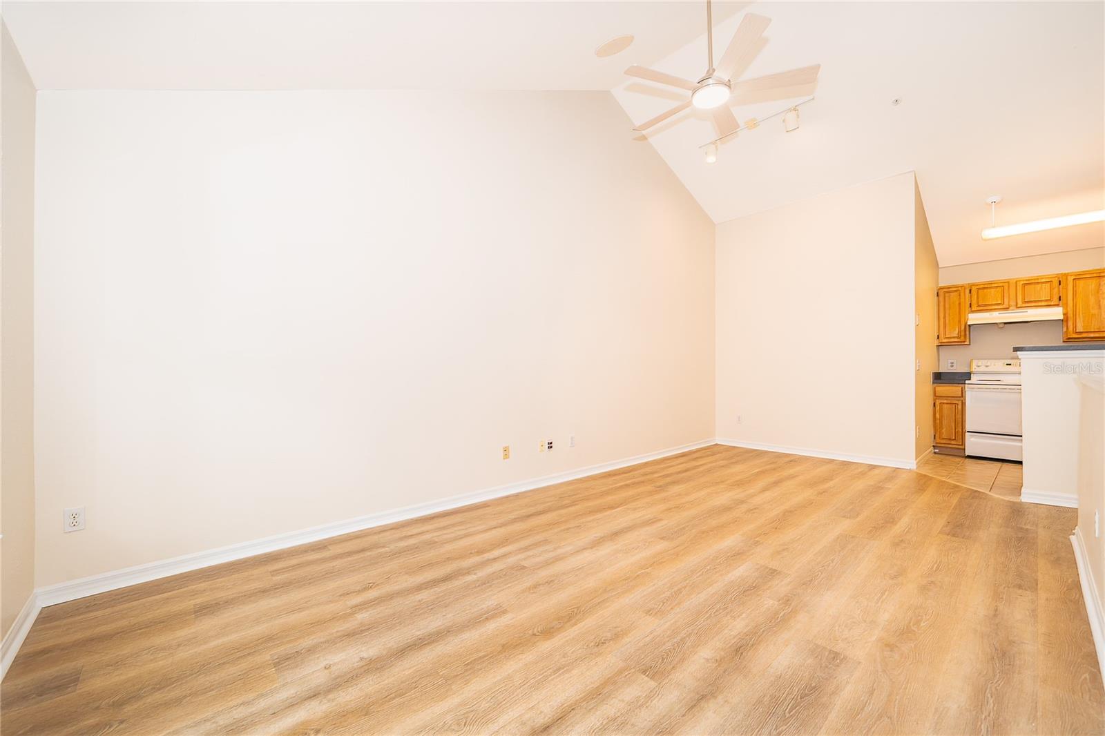6593 Queens Borough Ave #205 Property Photo 19