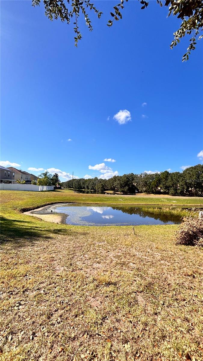 O6446367 Property Photo 13