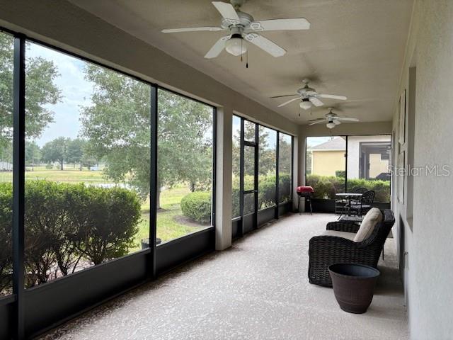 3306 Sagebrush St Property Photo 10