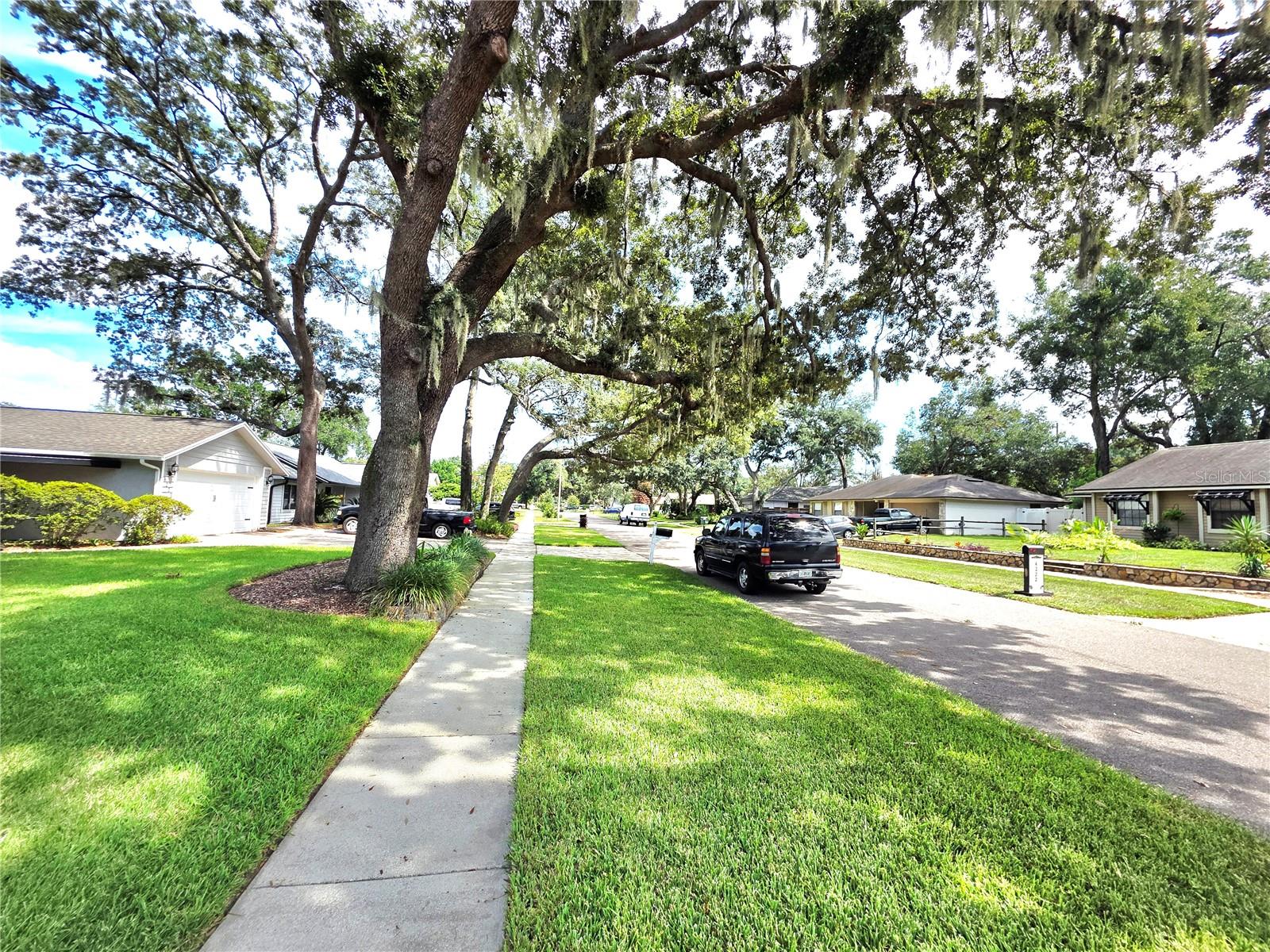4231 Tall Tree Dr Property Photo 83